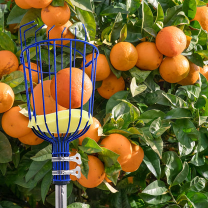 High-altitude Fruit Picker