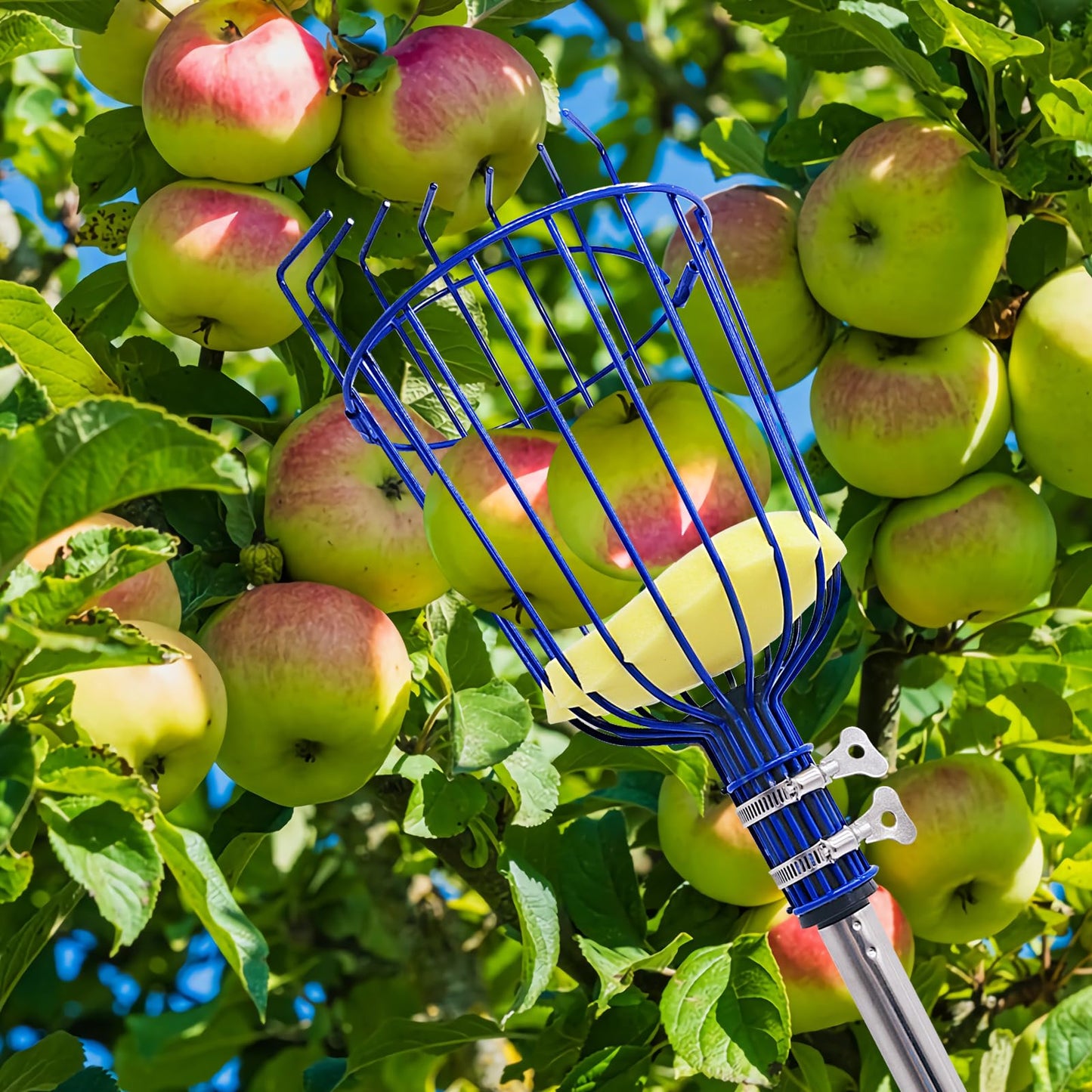 High-altitude Fruit Picker